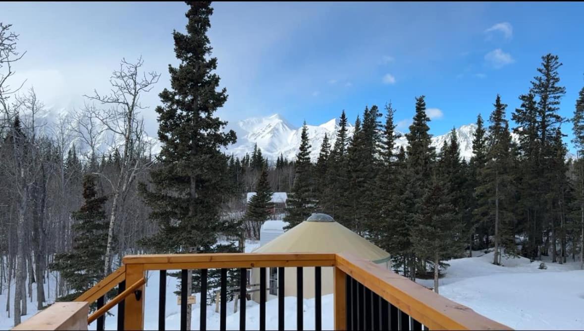 Mount Logan Ecolodge & Retreat Center 海恩斯章克申 外观 照片
