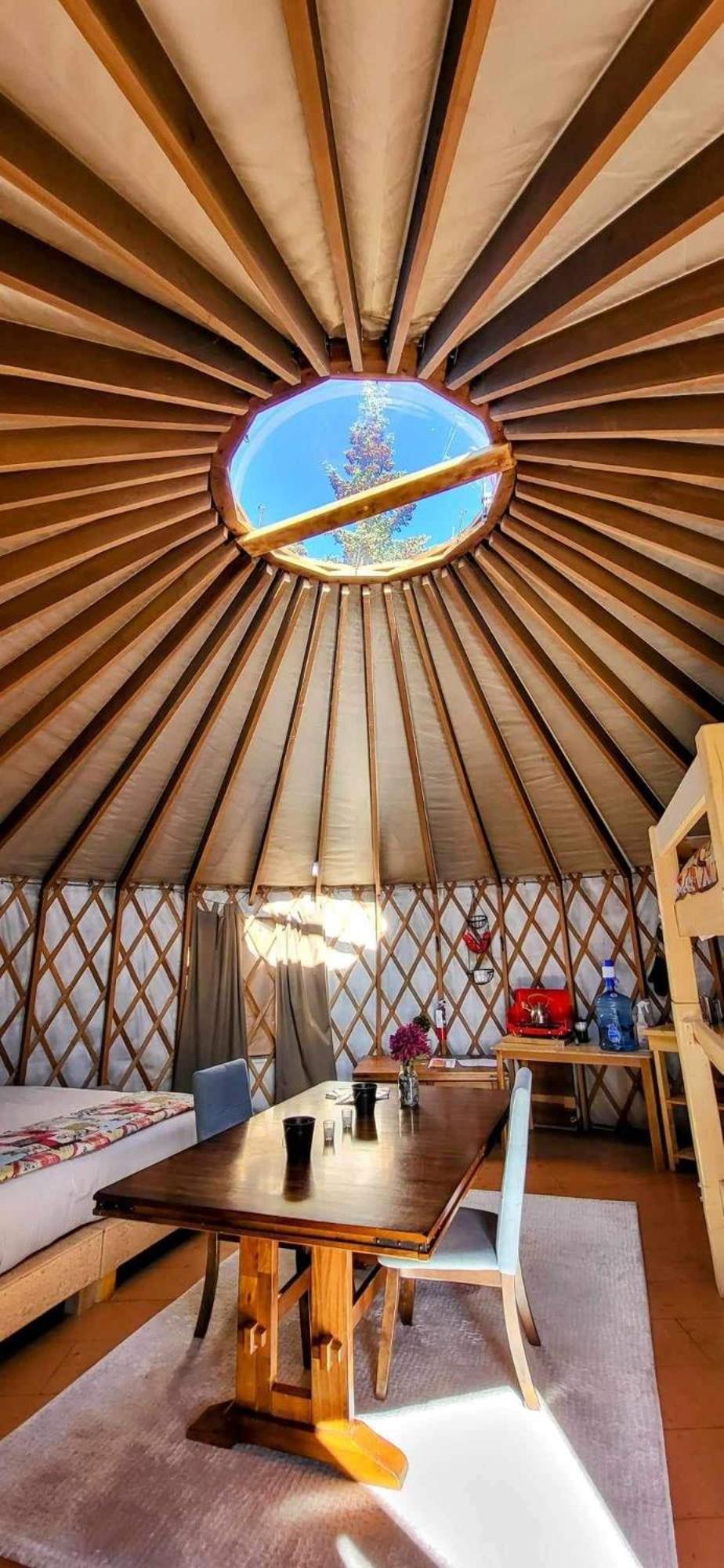 Mount Logan Ecolodge & Retreat Center 海恩斯章克申 外观 照片